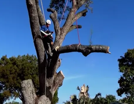 Local garden landscaping experts serving Loxahatchee, FL - Southeast Arborist LLC