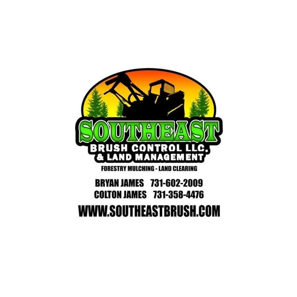 Reliable yard cleanup service in Cedar Grove, TN by Southeast Brush Control