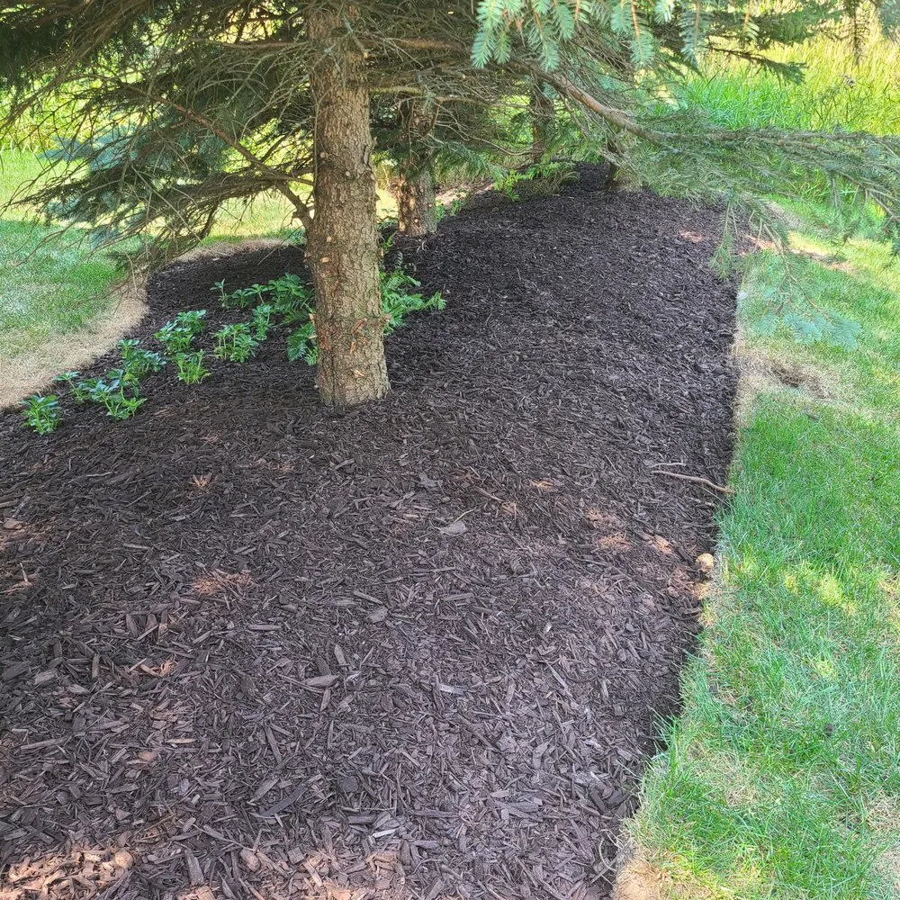 Expert outdoor landscaping in South Milwaukee, WI by Southeast Cutting And Landscape