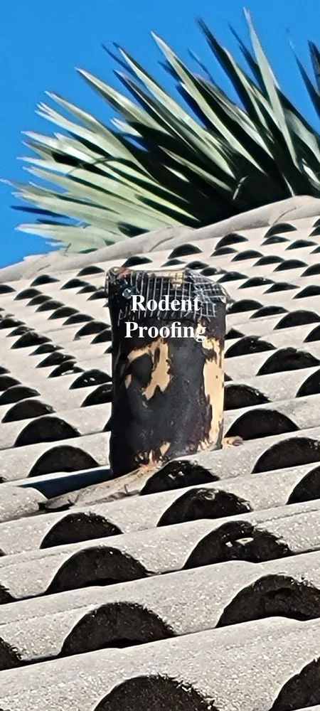 Custom yard maintenance near you across Port St. Lucie, FL - Southeast Florida Pest Control