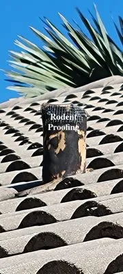 Southeast Florida Pest Control Logo