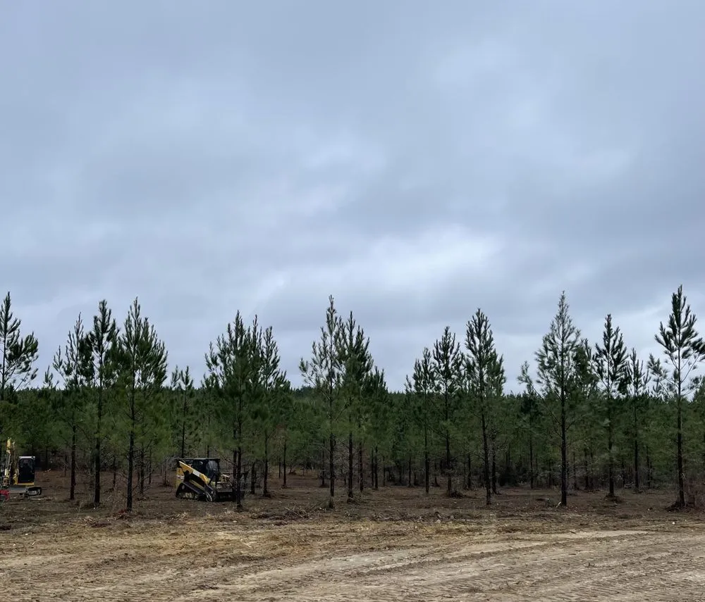 Local outdoor landscaping in Milton, FL by Southeast Land Clearing