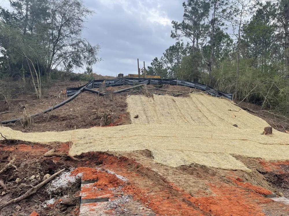 Trusted yard cleanup service near you across Milton, FL - Southeast Land Clearing