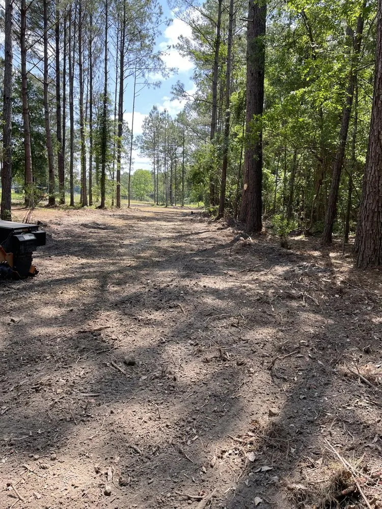 Local lawn mowing service in Milton, FL - Southeast Land Clearing