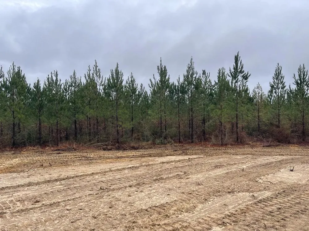 Professional garden landscaping experts serving Milton, FL - Southeast Land Clearing