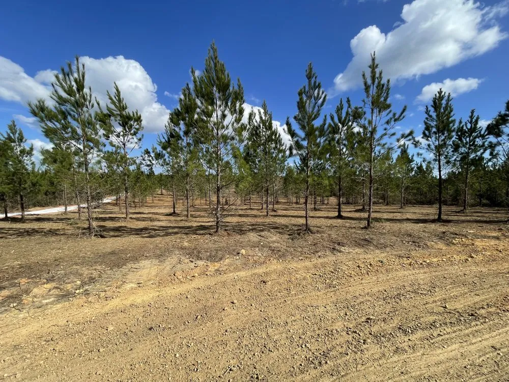 Reliable lawn mowing service near you across Milton, FL - Southeast Land Clearing