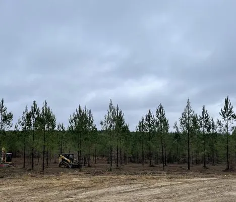 Southeast Land Clearing