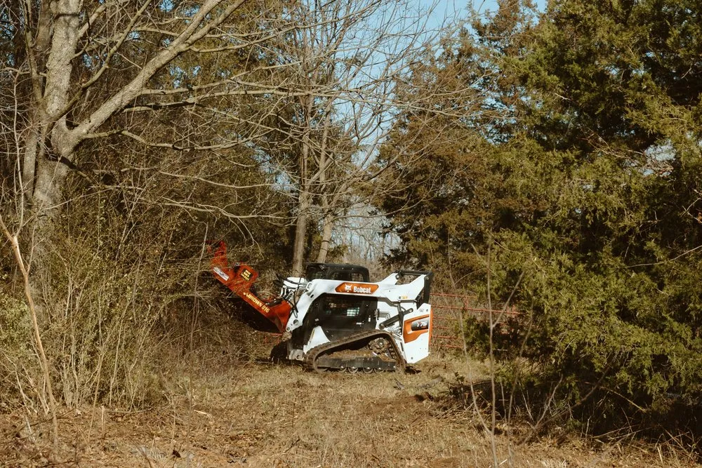 Local landscape design in Royston, GA by Southeast Land Management