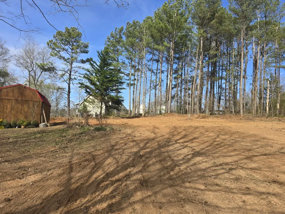 Local yard cleanup service in Royston, GA by Southeast Land Management