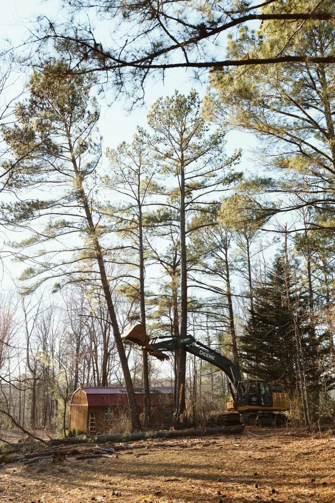 Professional yard maintenance in Royston, GA by Southeast Land Management