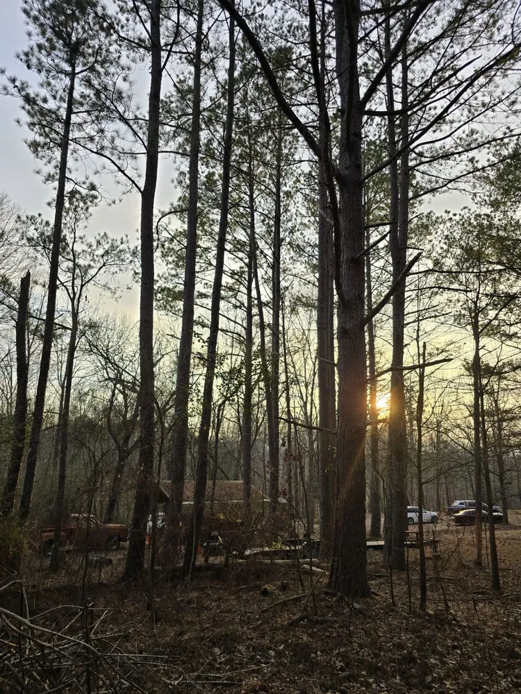 Affordable yard maintenance with custom design across Royston, GA - Southeast Land Management