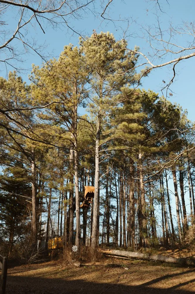 Professional landscape design in Royston, GA by Southeast Land Management