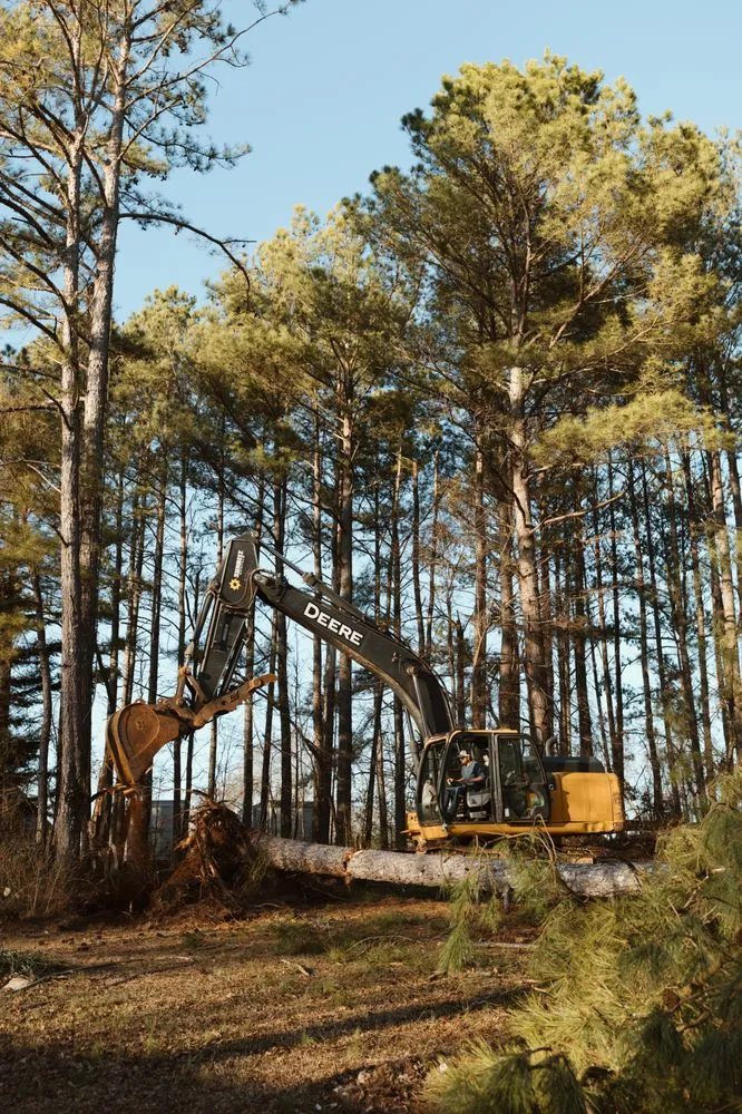 Reliable lawn mowing service for year-round maintenance across Royston, GA - Southeast Land Management