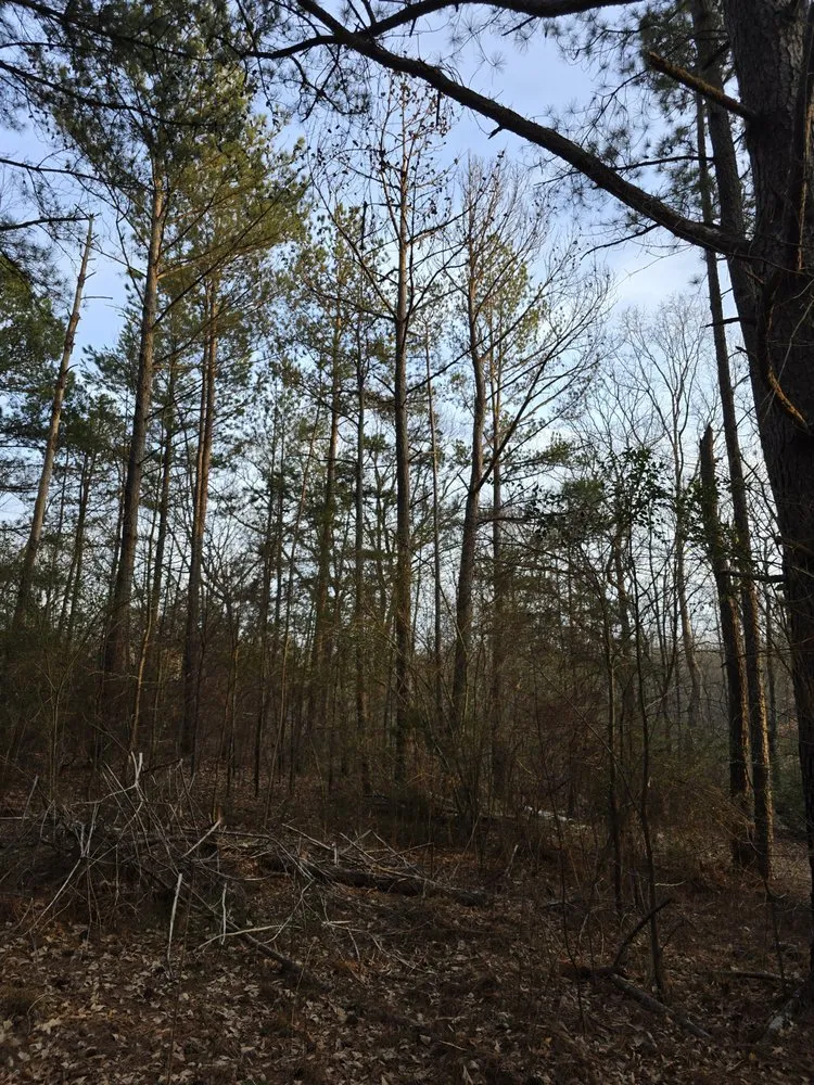 Trusted landscaping services in Royston, GA - Southeast Land Management