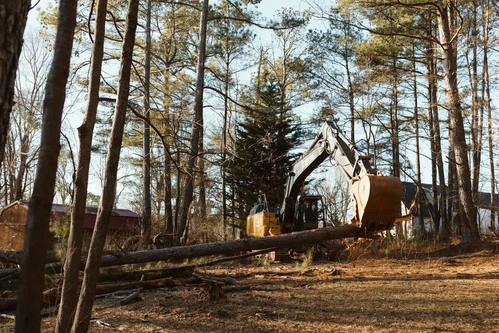 Professional residential landscaping in Royston, GA by Southeast Land Management