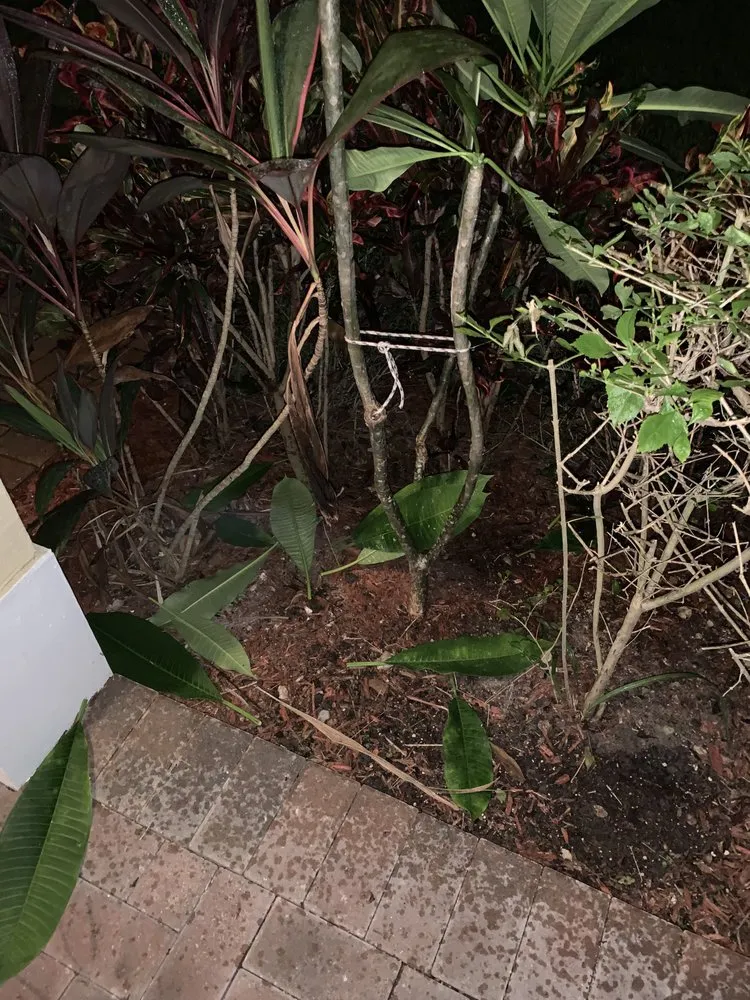 Expert garden landscaping in Fort Lauderdale, FL by Southeast Landscape Management