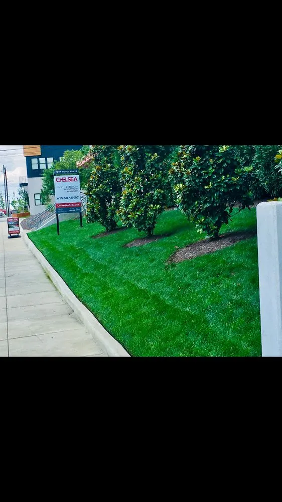 Trusted lawn mowing service for year-round maintenance across Smyrna, TN - Southeast Landscape