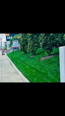 Southeast Landscape Logo