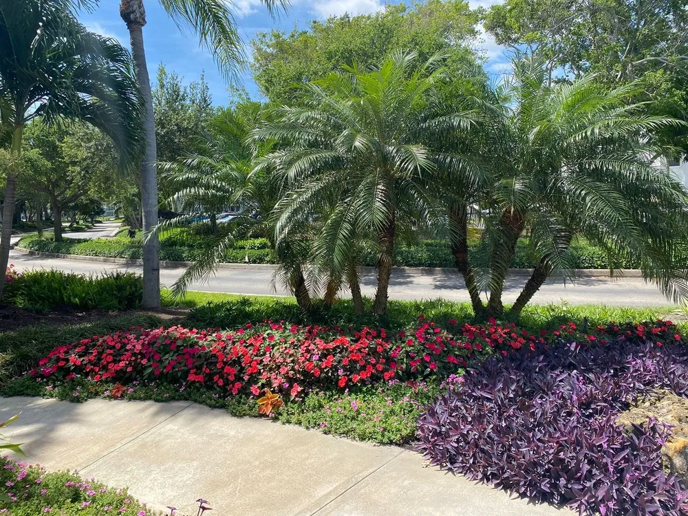 Trusted lawn mowing service experts serving Davie, FL - Southeast Landscaping