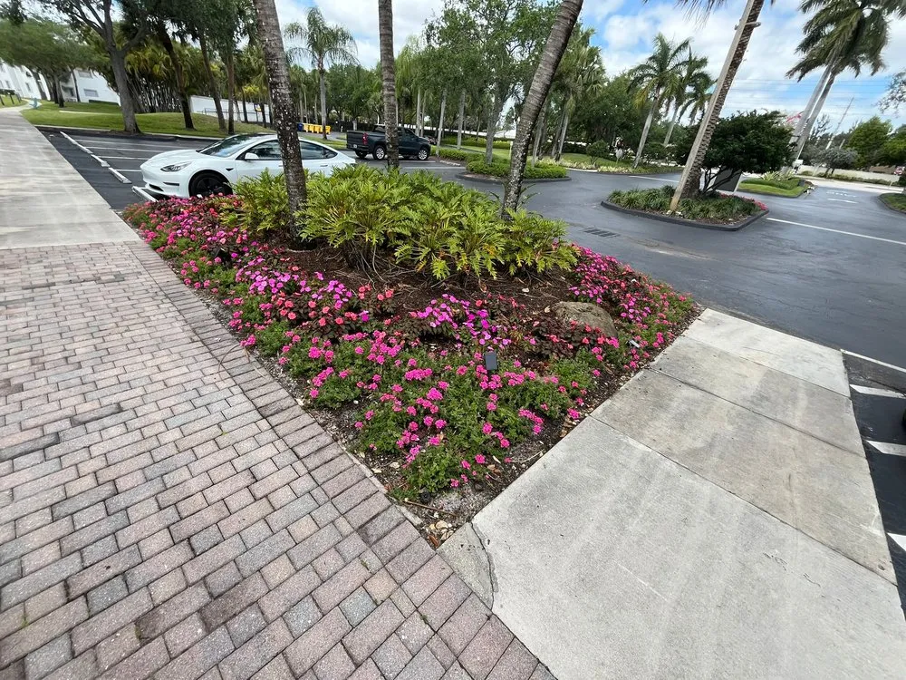 Local landscape design for year-round maintenance in Davie, FL by Southeast Landscaping