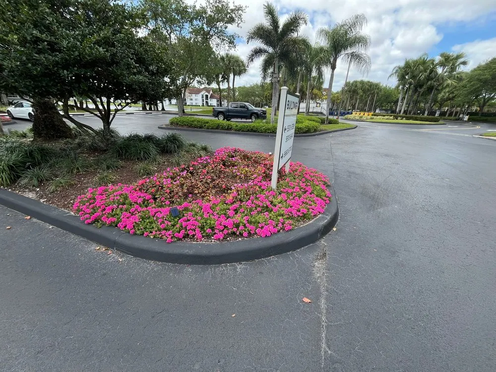 Professional yard cleanup service experts serving Davie, FL - Southeast Landscaping