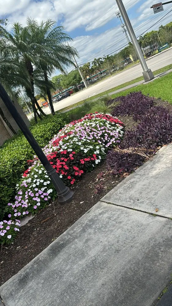Affordable yard maintenance in Davie, FL - Southeast Landscaping