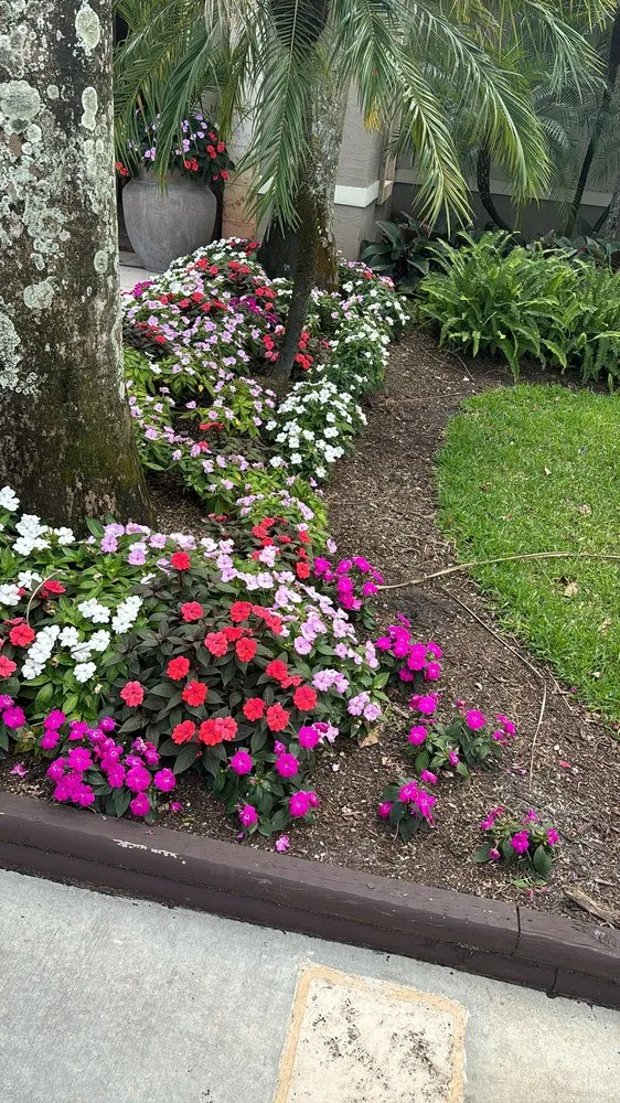 Top-rated yard cleanup service in Davie, FL - Southeast Landscaping