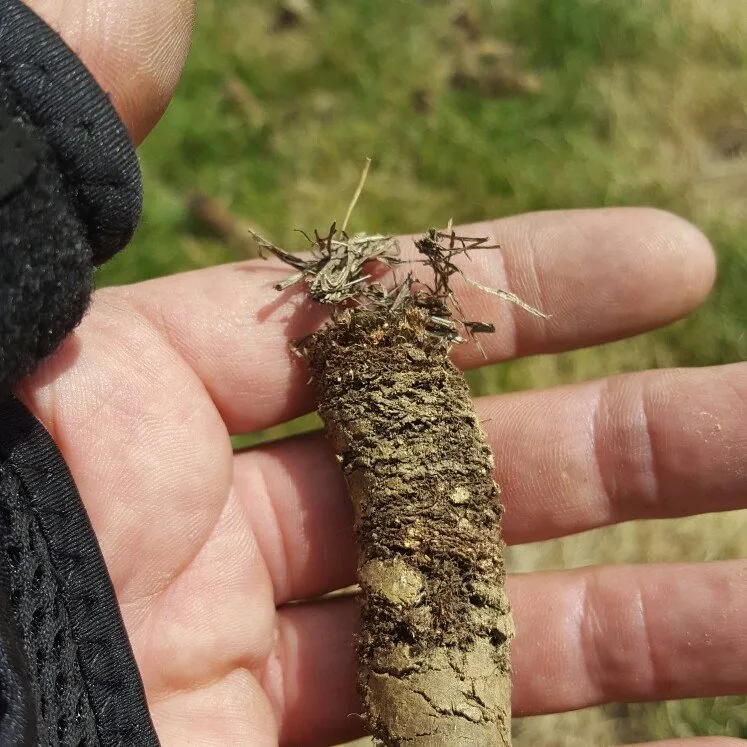 Trusted garden landscaping in Lancaster, OH - Southeast Lawn & Landscape