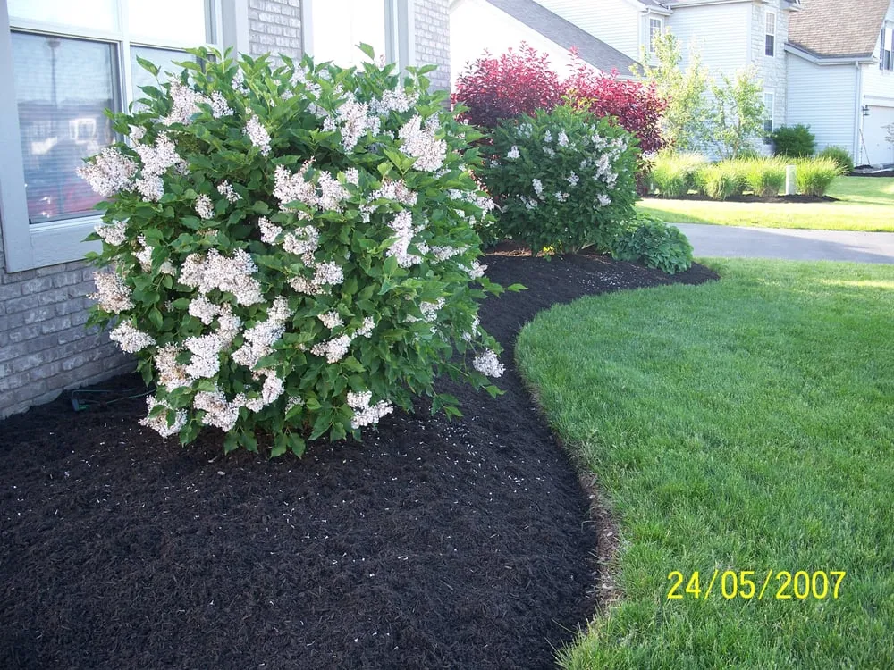 Expert lawn care service for residential properties in Lancaster, OH by Southeast Lawn & Landscape