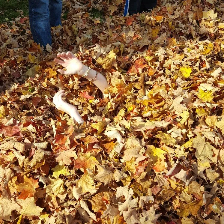 Local residential landscaping in Lancaster, OH by Southeast Lawn & Landscape