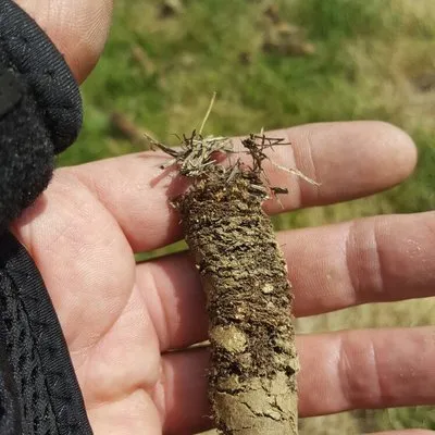 Southeast Lawn & Landscape Logo