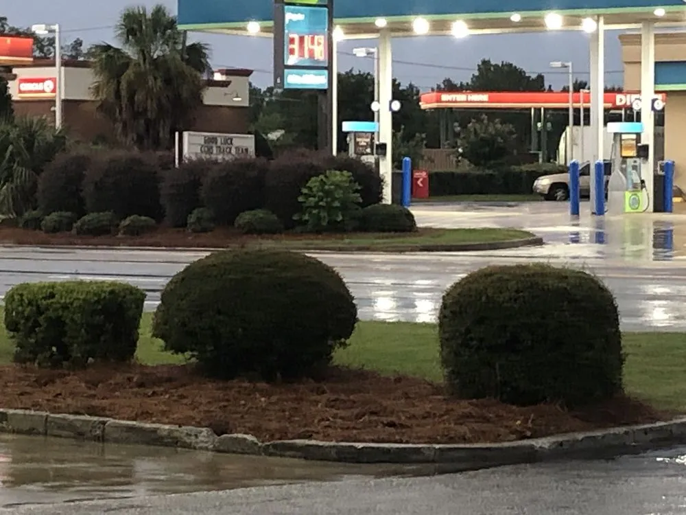 Reliable yard cleanup service for year-round maintenance in Cordele, GA by Southeast Lawn & Tree Service