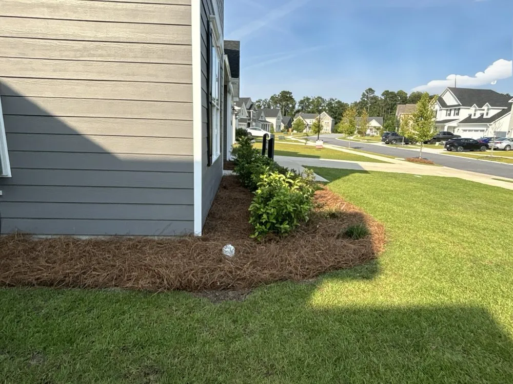 Top-rated landscape design experts serving Pooler, GA - Southeast Lawn