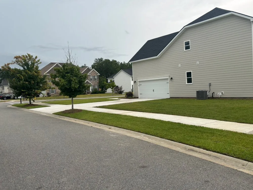 Custom yard cleanup service experts serving Pooler, GA - Southeast Lawn