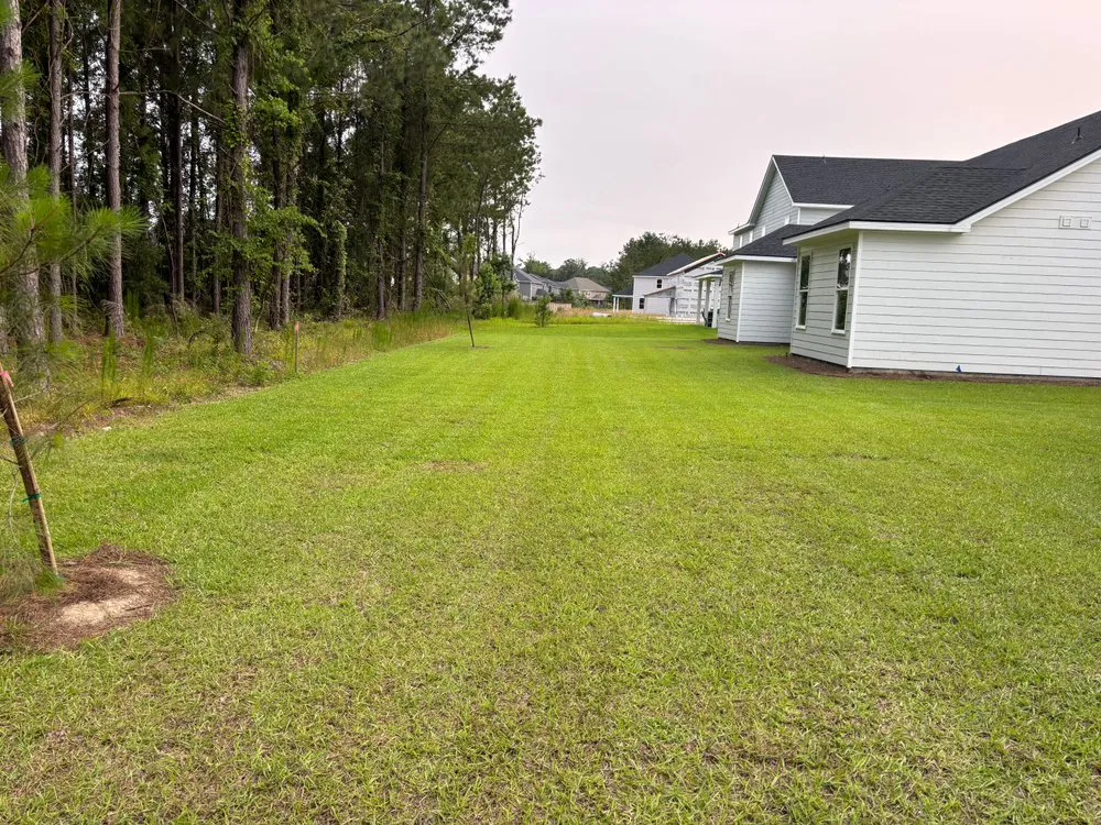 Custom landscaping services experts serving Pooler, GA - Southeast Lawn