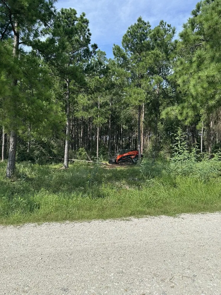 Reliable lawn mowing service in Vidor, TX - Southeast Texas Land Clearing