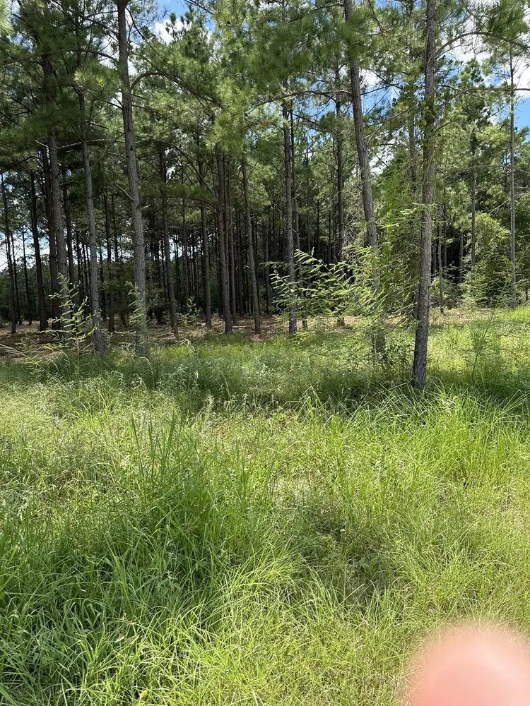 Custom yard maintenance for beautiful yards in Vidor, TX by Southeast Texas Land Clearing