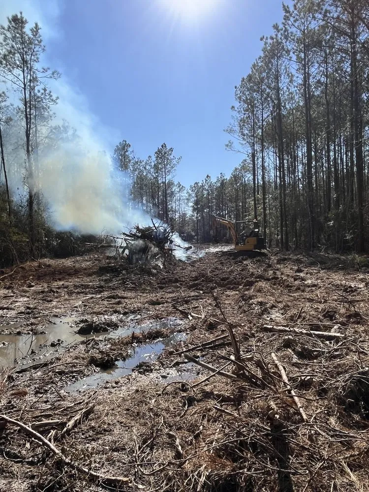 Reliable residential landscaping for homes in Vidor, TX by Southeast Texas Land Clearing