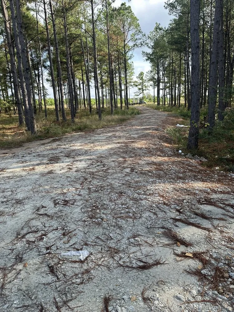 Professional garden landscaping for residential properties across Vidor, TX - Southeast Texas Land Clearing