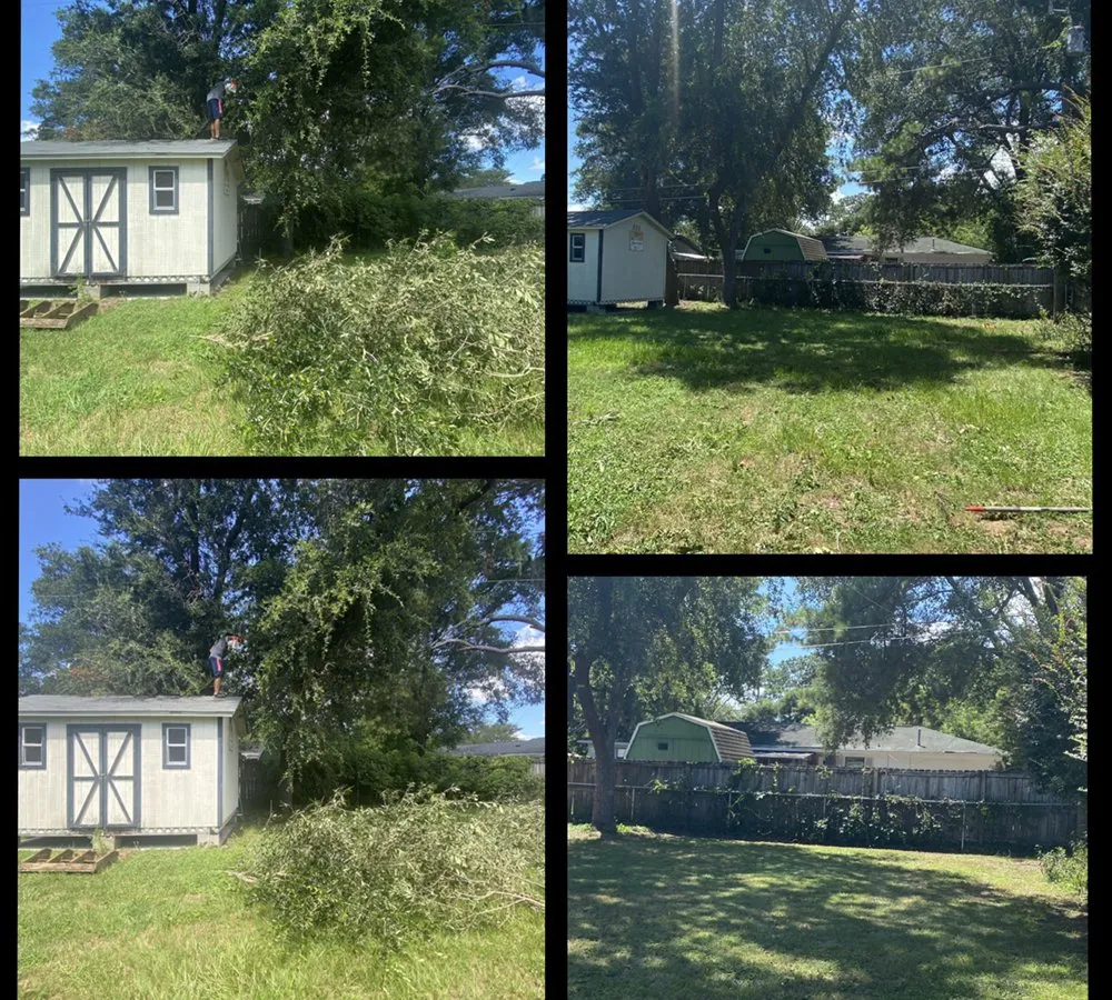 Local lawn care service experts serving Charleston, SC - Southeastern Landworks