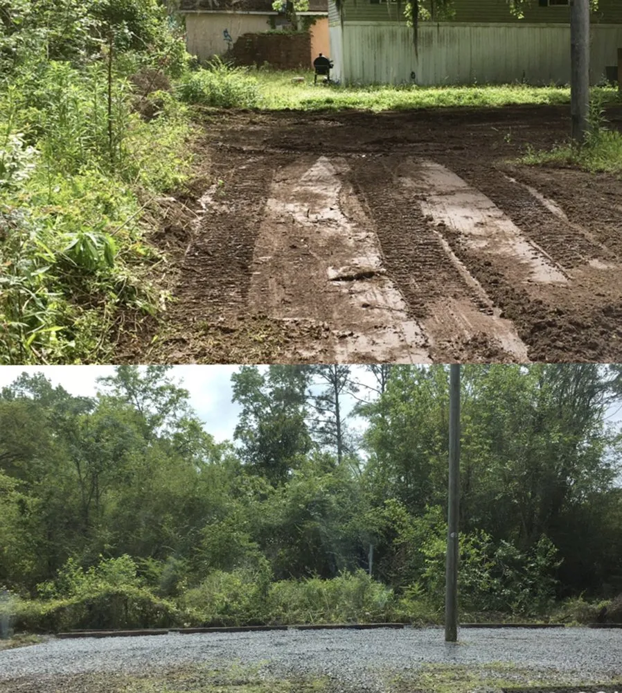 Trusted landscaping services in Charleston, SC by Southeastern Landworks