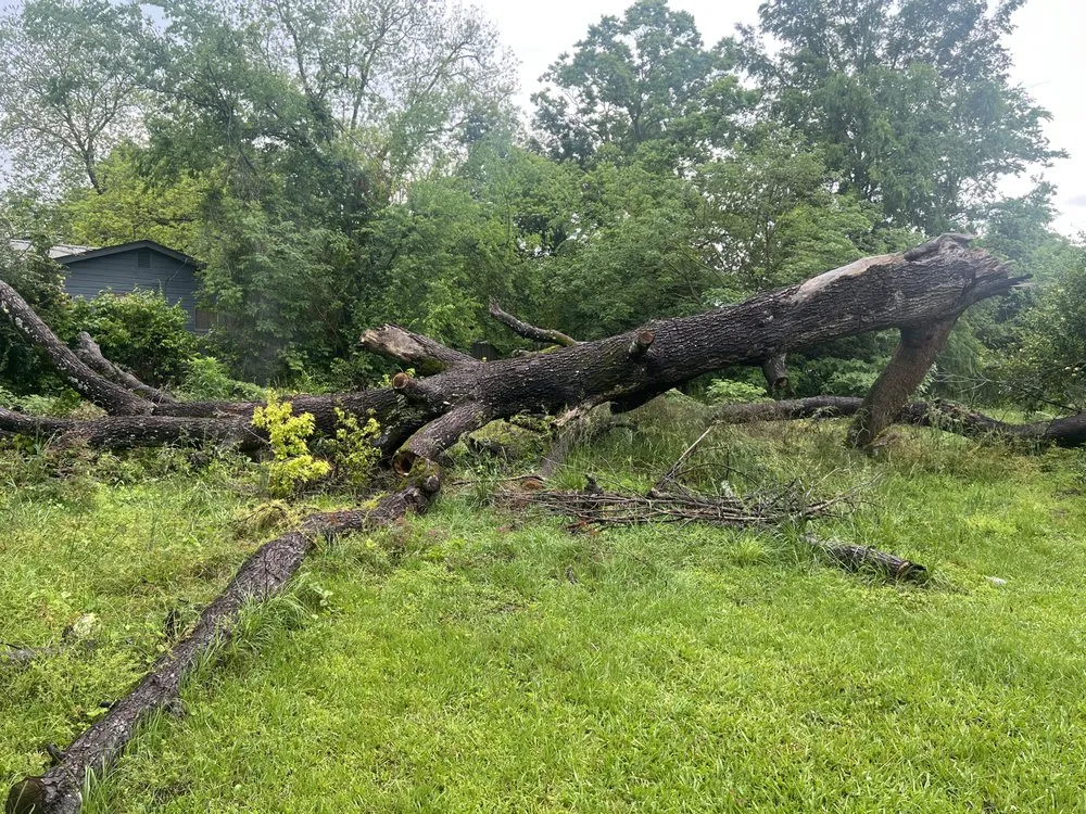 Professional garden landscaping in Meridian, MS - Southeastern Lawn & Land