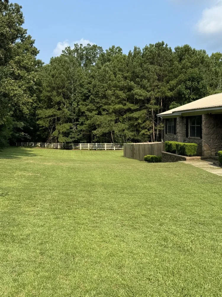 Custom yard cleanup service in Cordova, AL - Southeastern Lawn & Landscape