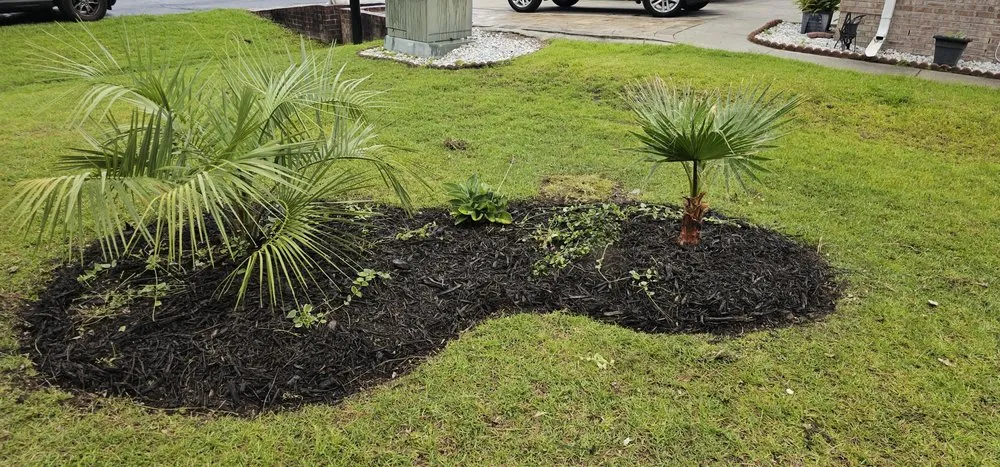 Reliable landscape installation for beautiful yards across Johnsonville, SC - Southeastern Lawn & Landscaping
