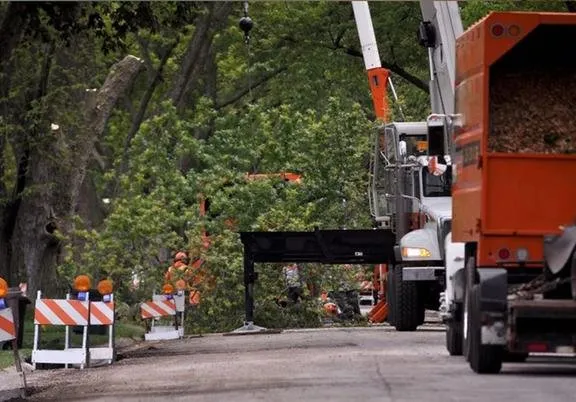 Expert outdoor landscaping with custom design across Savannah, GA - Southeastern Tree Service