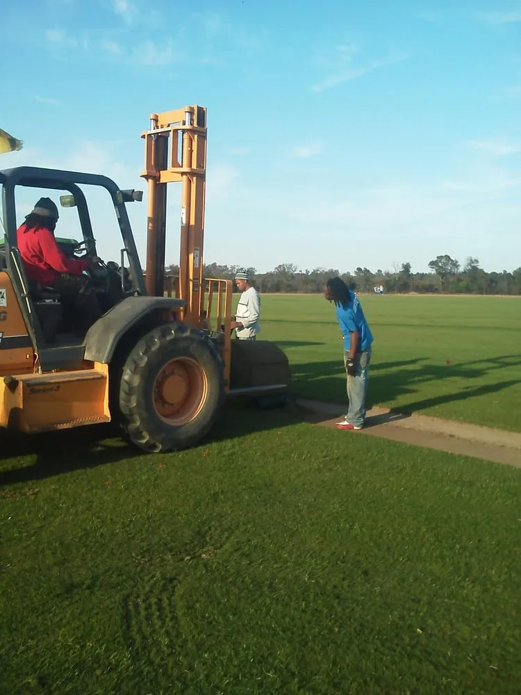 Local landscaping services in Sylvania, GA by Southeastern Turf Grass