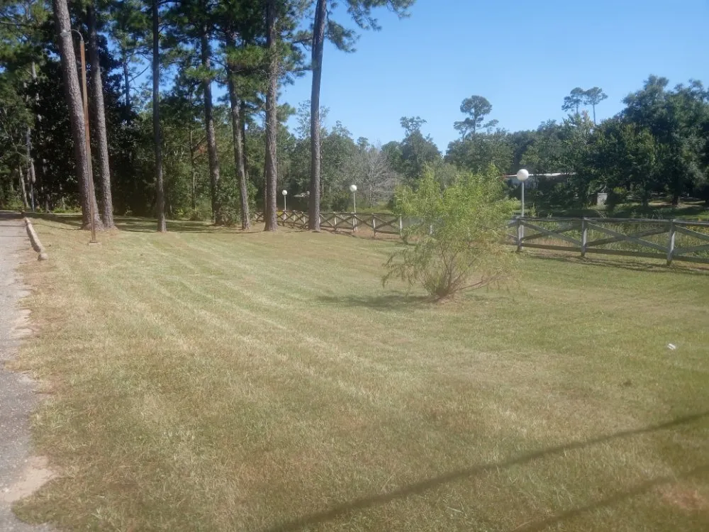Affordable garden landscaping with custom design across Pensacola, FL - Southerlandscaping