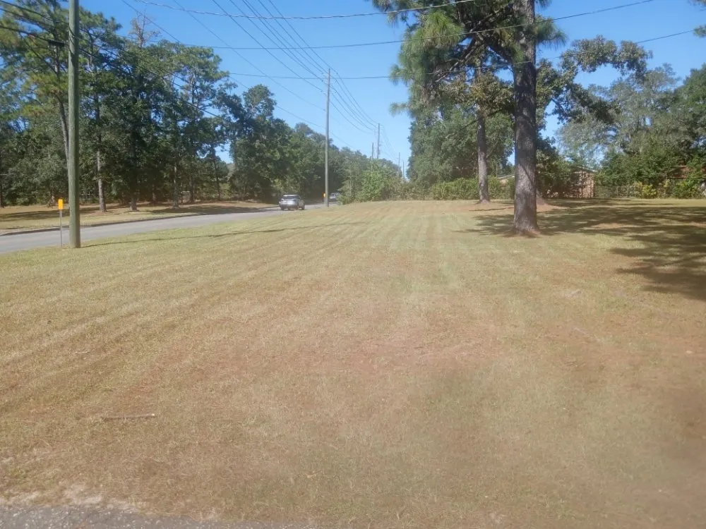 Expert yard cleanup service for outdoor upgrades across Pensacola, FL - Southerlandscaping