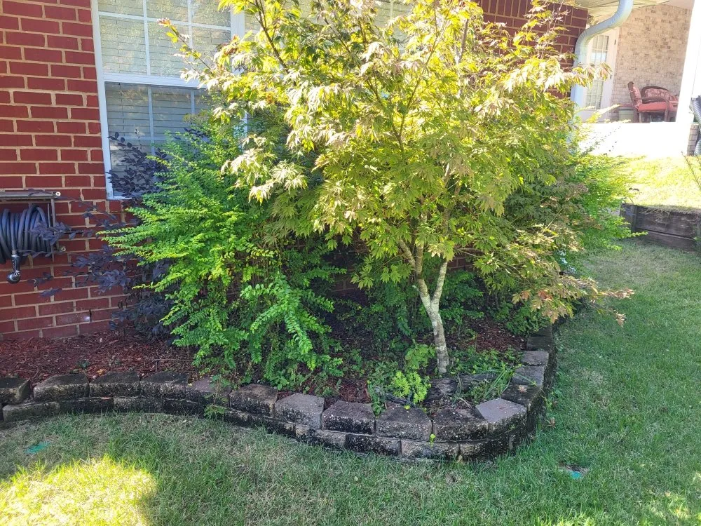 Affordable garden landscaping experts serving Pensacola, FL - Southerlandscaping