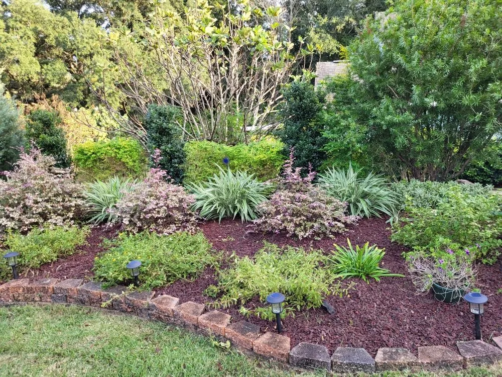 Reliable yard cleanup service for outdoor upgrades across Pensacola, FL - Southerlandscaping